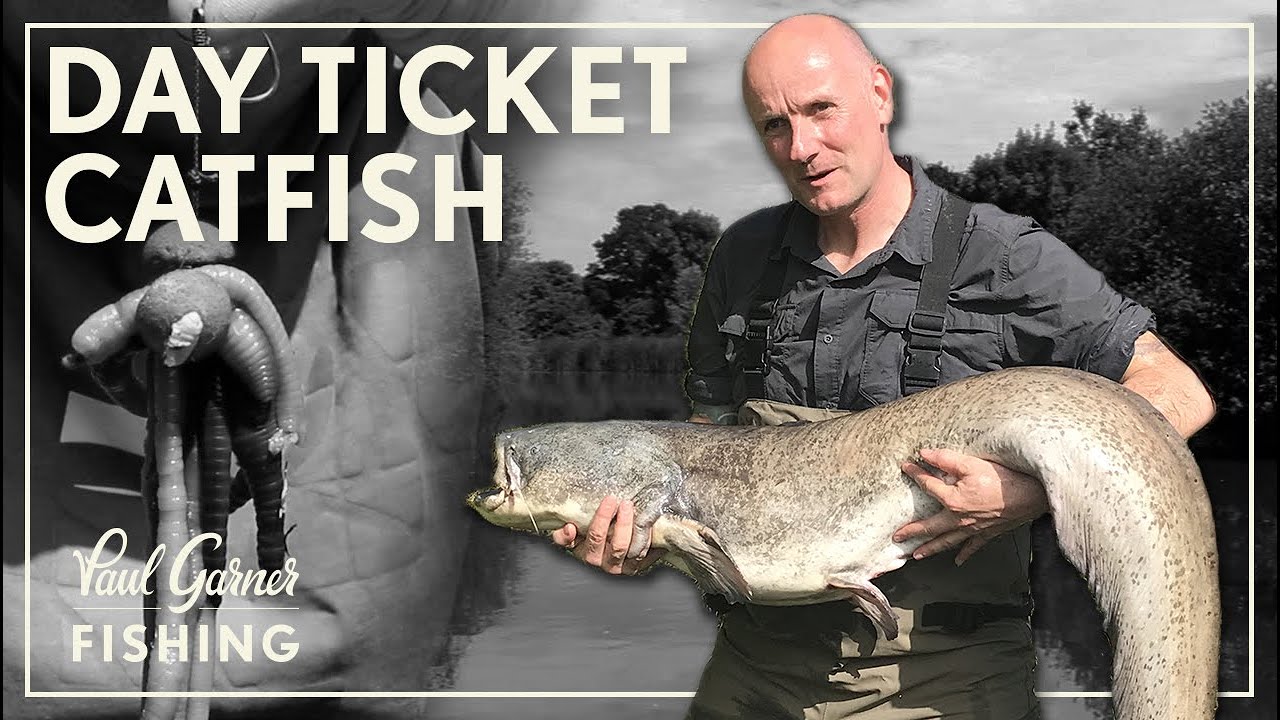 Catfish Fishing : Fishing for Catfish