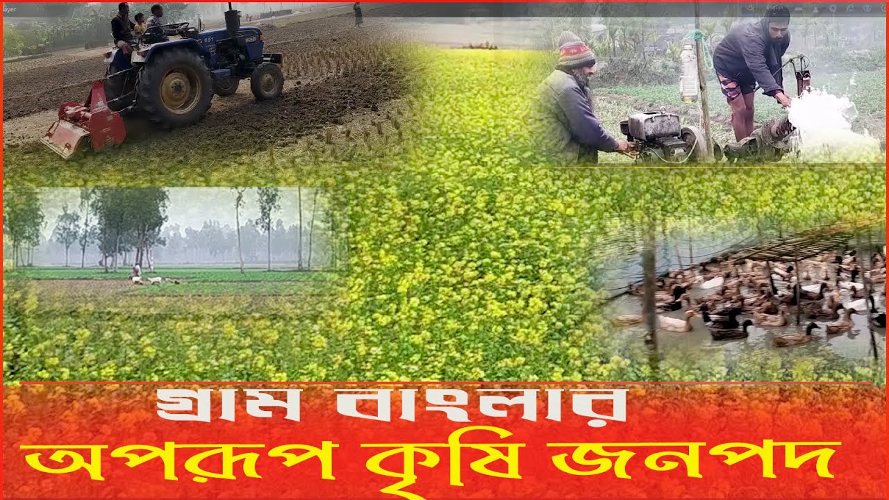 গ্রাম বাংলার অপরূপ কৃষি জনপদ