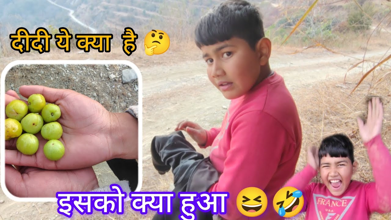 आज मजा आ गया यार बच्चों के साथ 😉😁 हमको मिले खेत में आंवले ✨