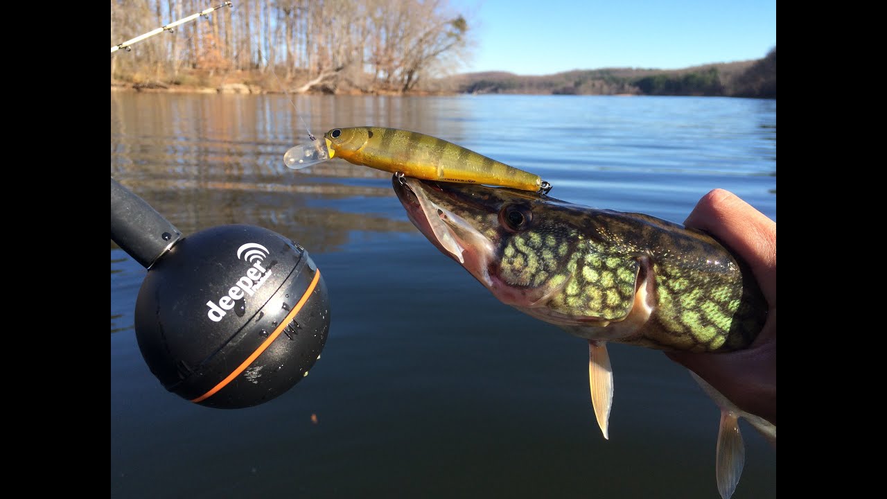 Late Fall Reservoir Fishing with a Deeper Smart Fishfinder