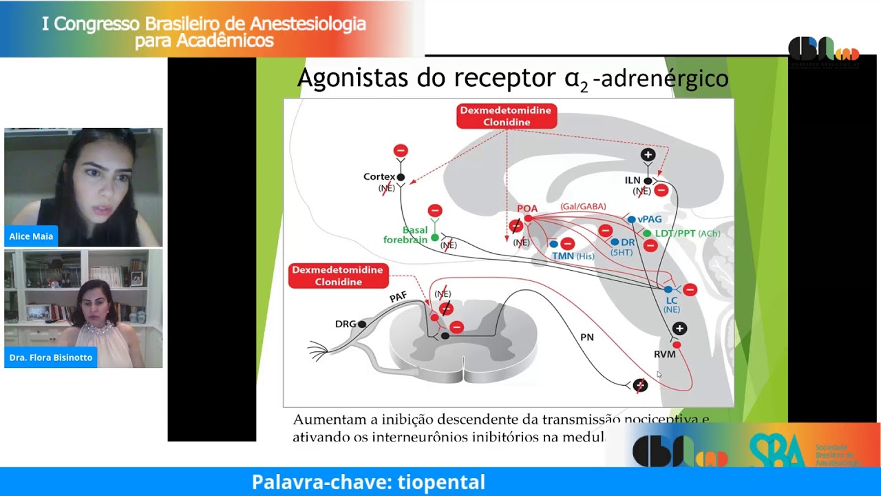 Aula - Anestesia Geral (Dra. Flora).