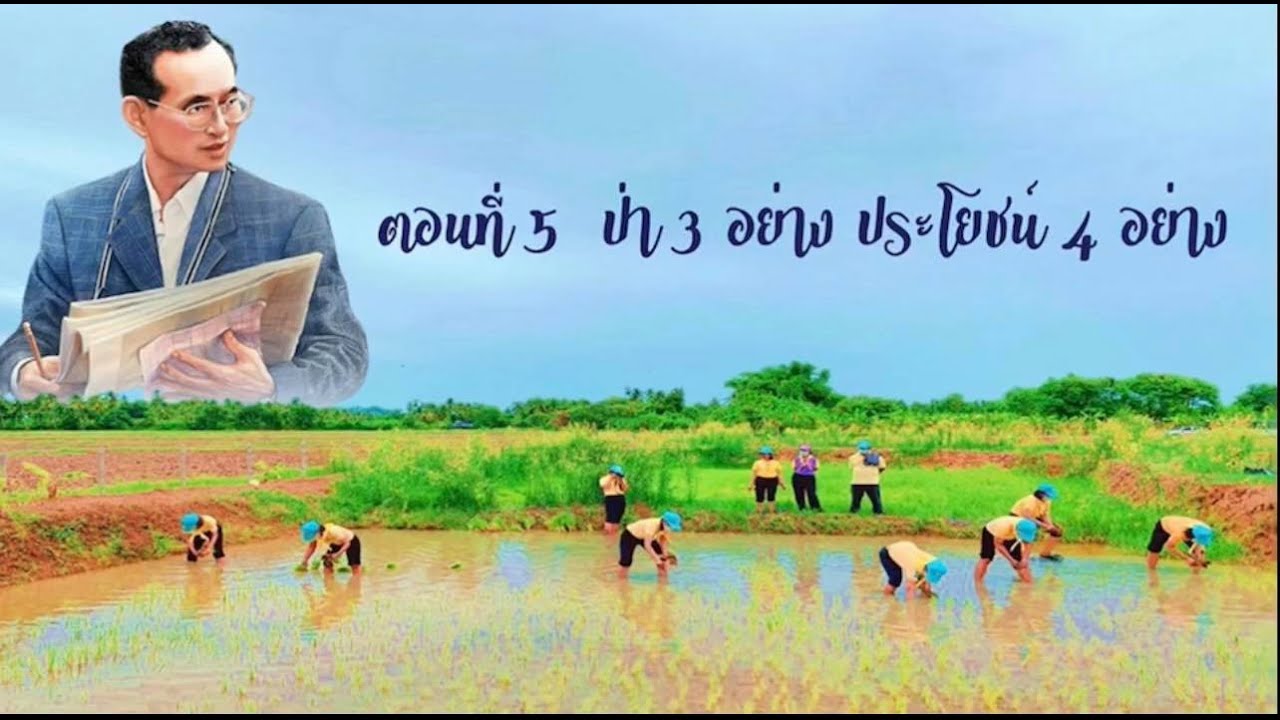 ตอนที่ 5 (E.P.5) ป่า 3 อย่าง ประโยชน์ 4 อย่าง