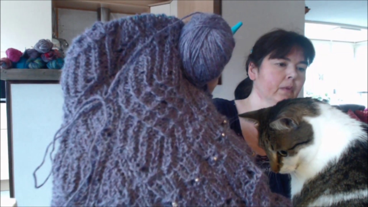 episode 7 november 2016