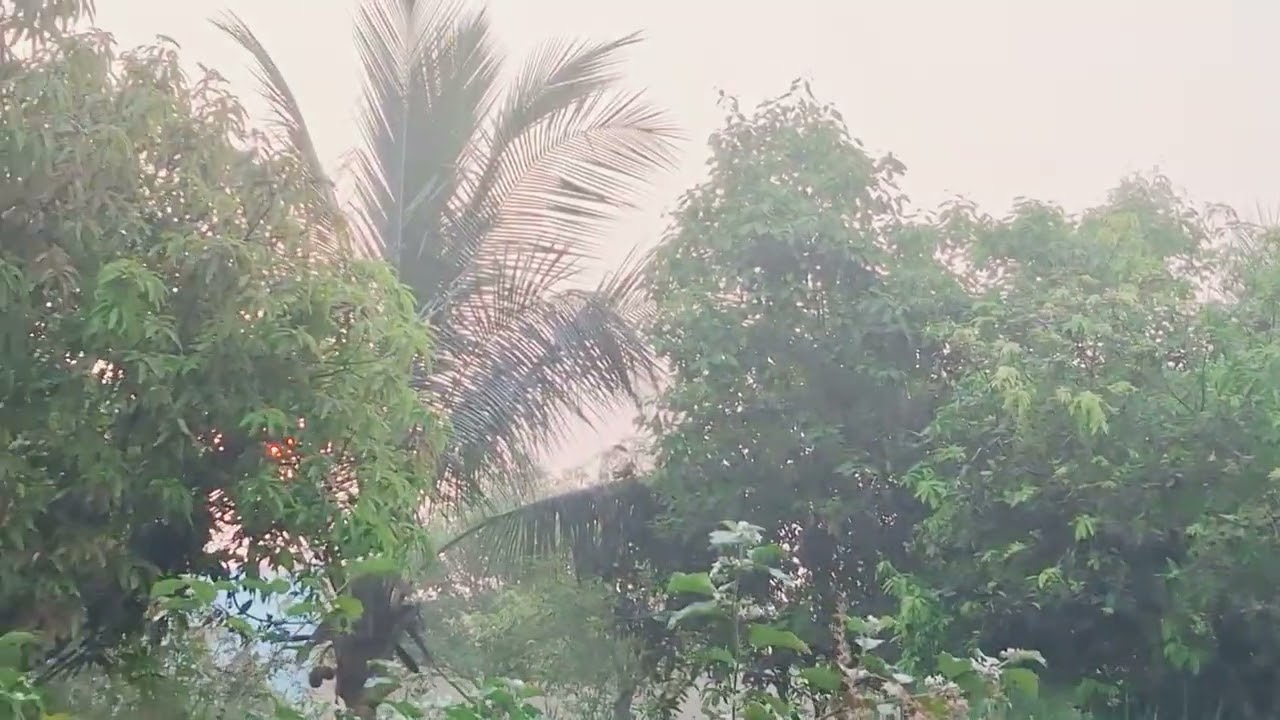 ప్రకృతి ఒడిలో మామిడి తోట 