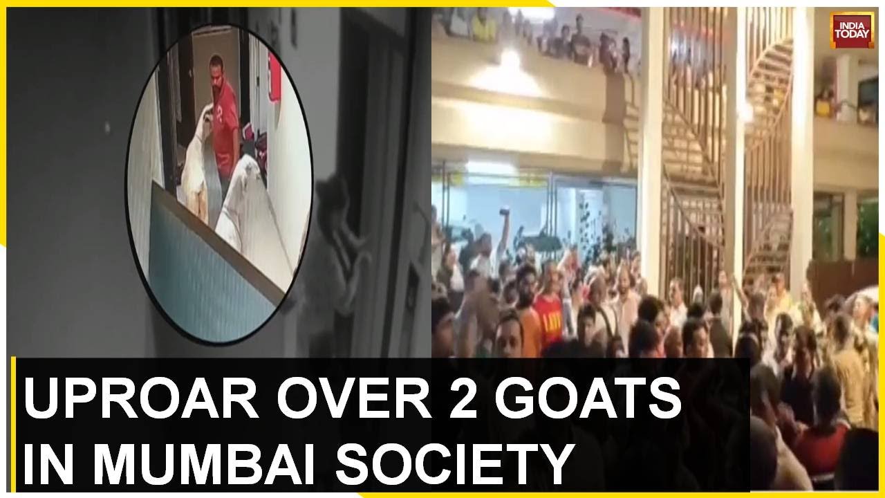 Mumbai Society : Man Brings Home Goats Day Before Bakri-Eid Says Won’t Sacrifice Goat  In Society