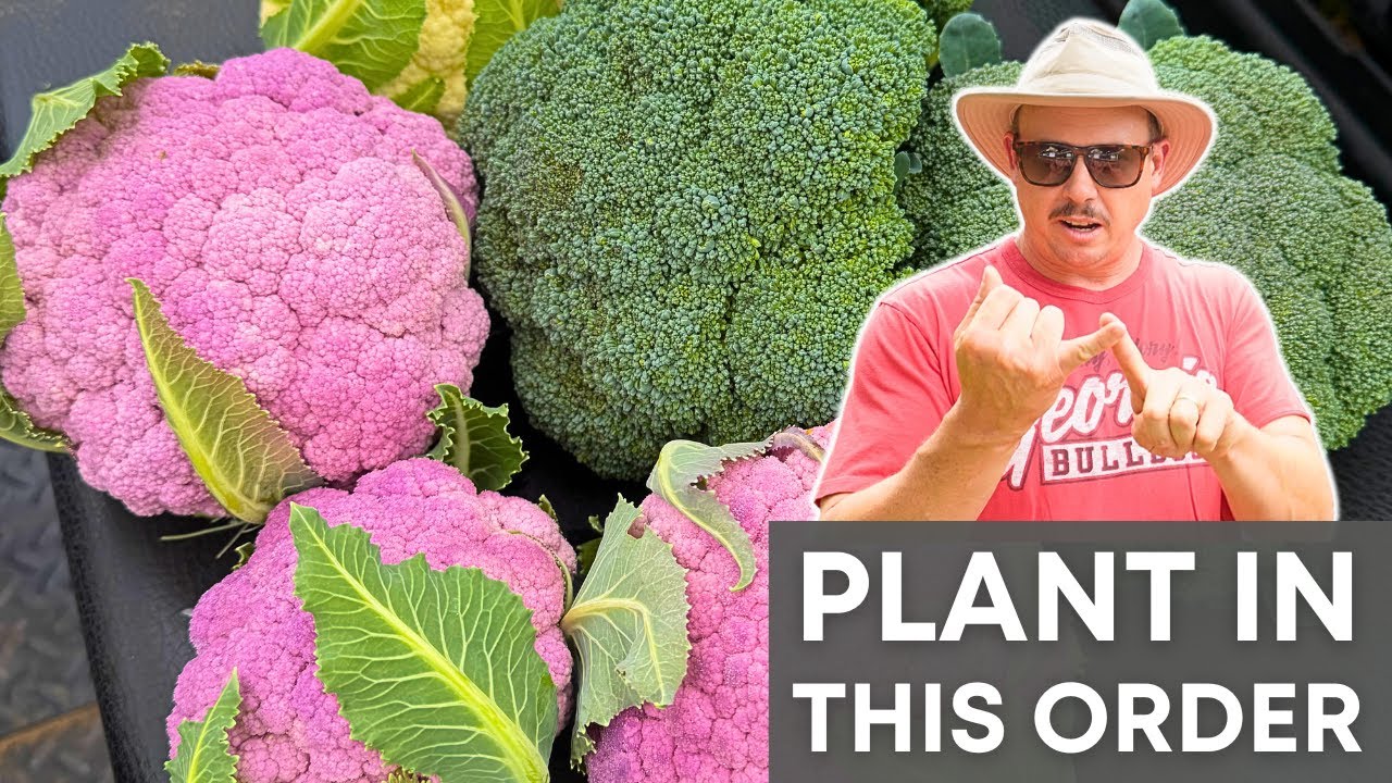 Fall Gardening Made Simple: Follow This!