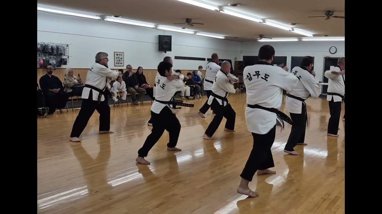 Taekwondo Forms 3/3: 9 Styles Exhibition 