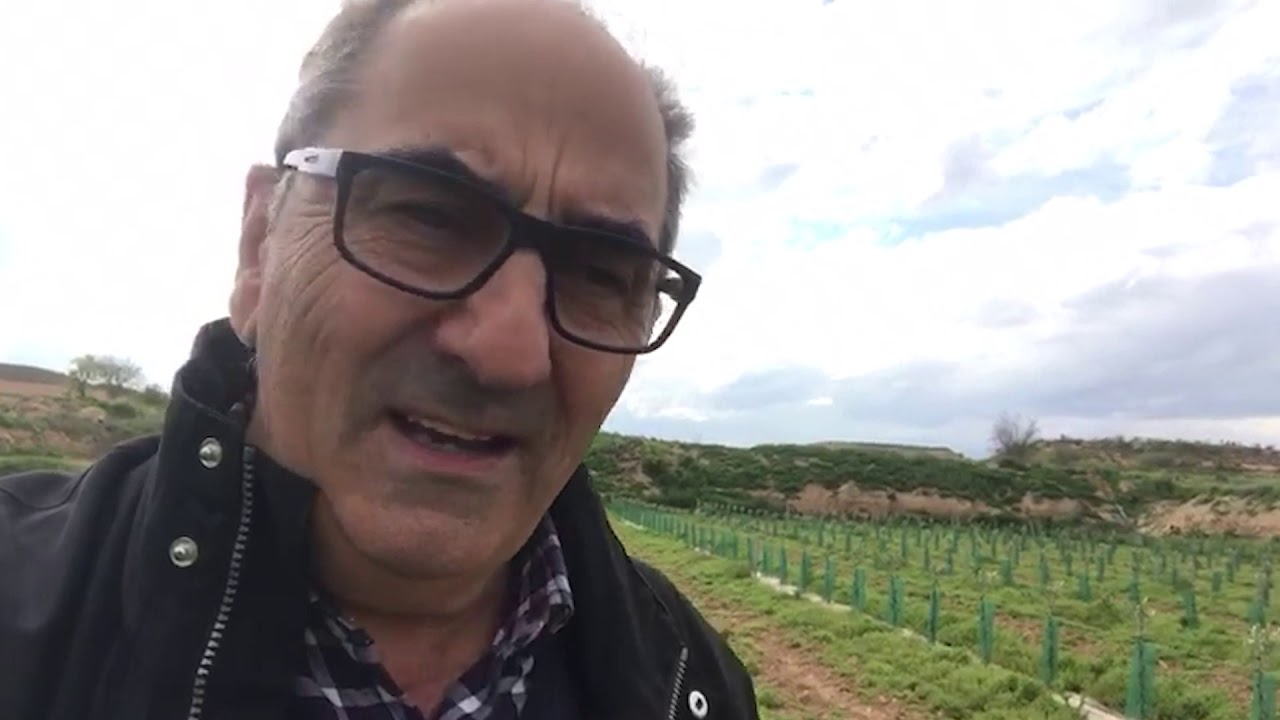 Oliana: Variedad para el Olivo en Seto