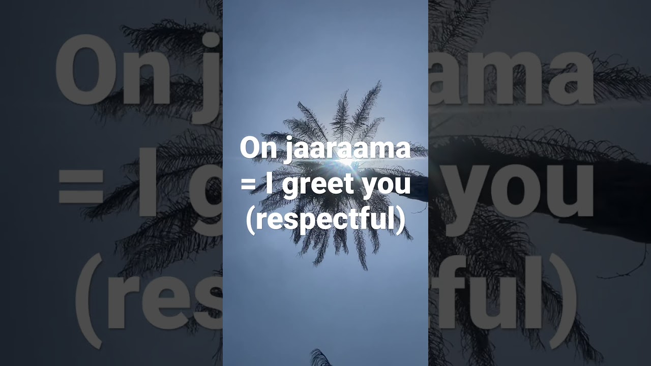 Pulaar Lesson #2 | On jaaraama = I greet you (respectful) | #shots #pulaar #pulaar_fulbe