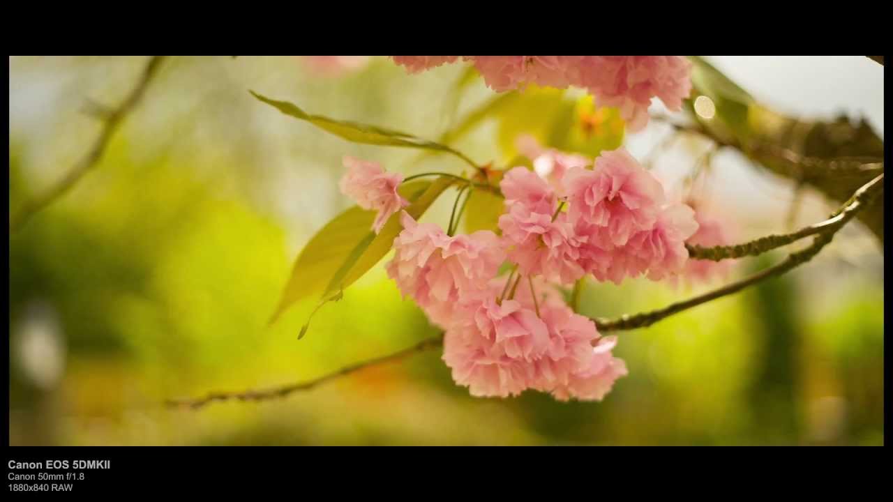 Canon 5DMKII RAW Test - KomputerBay Professional 32GB 1000x CF UDMA7