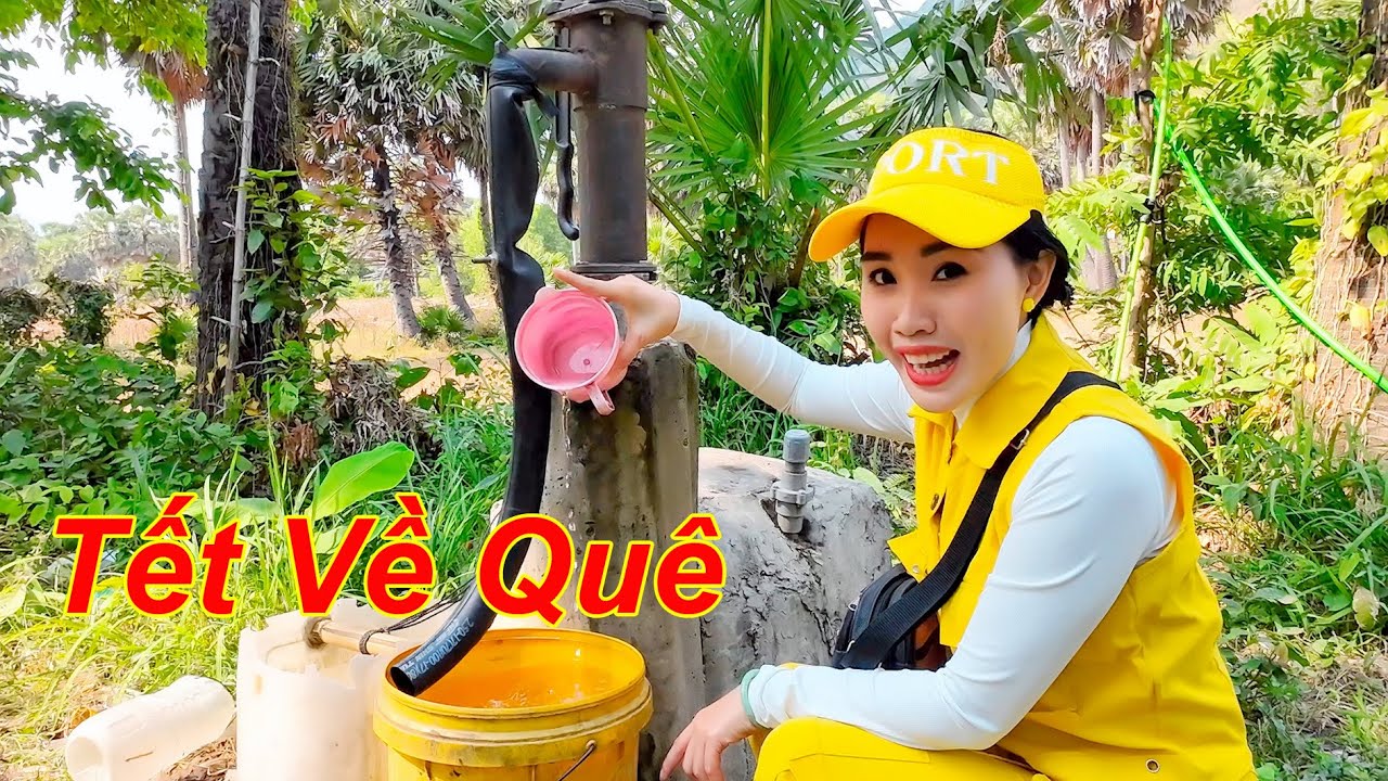 Hành Trình Đi Tìm Vị Ngọt Thốt Nốt