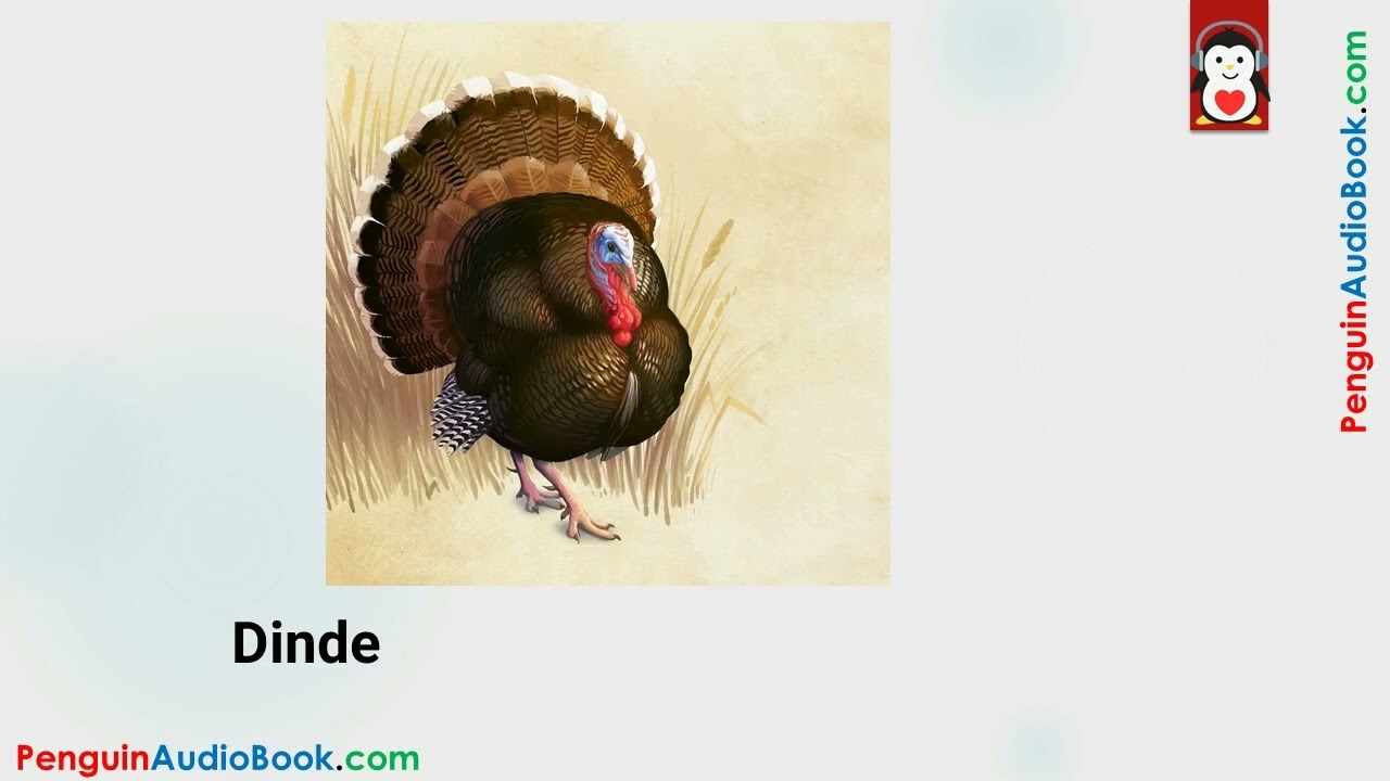 ✨ Apprendre le Français Facile 🇫🇷📸 | Animaux en Images 👗