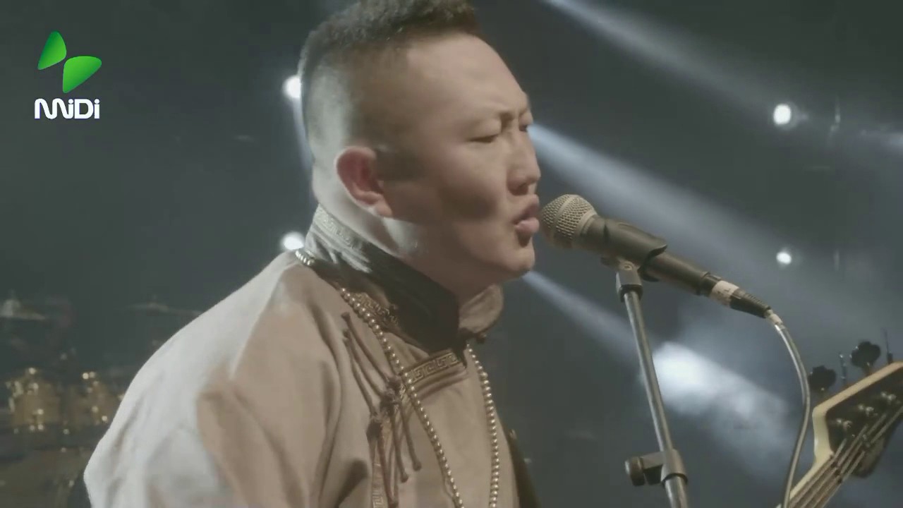 Nine Treasures Live at 2017 MIDI Festival 九宝乐队2017迷笛现场