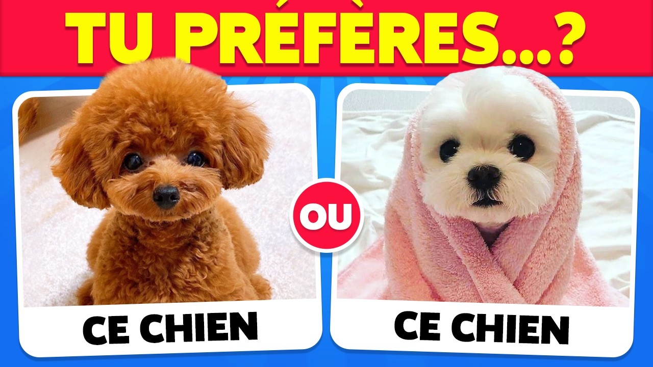 TU PR&Eacute;F&Egrave;RES...? SP&Eacute;CIAL ANIMAUX 🐶🐱 Hero Quiz