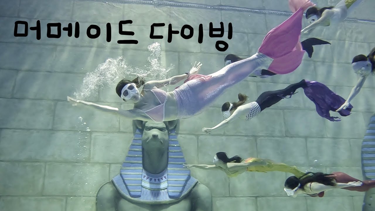 파라다이브에 인어떼가 나타났다. (머메이드 다이빙 2일차 기록)
