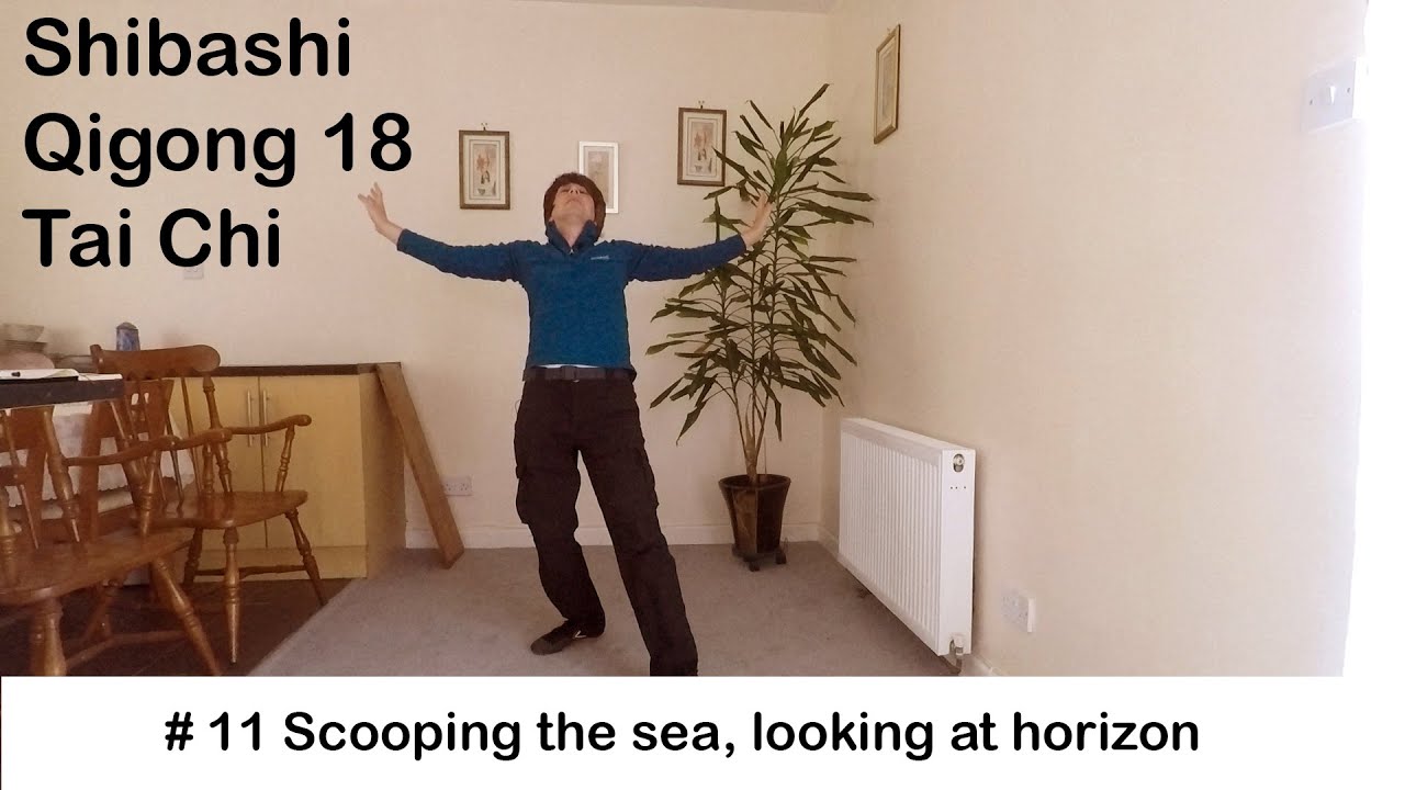 Qigong 18 Shibashi Movement 11 Tutorial Tai Chi Exercise. COVID-19 Self-Isolation Coronavirus