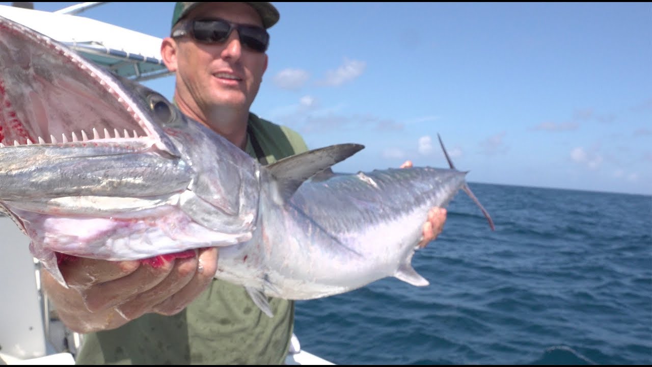 kingfish {Catch Clean Cook} Caramel Glazed Smoked Fish Dip