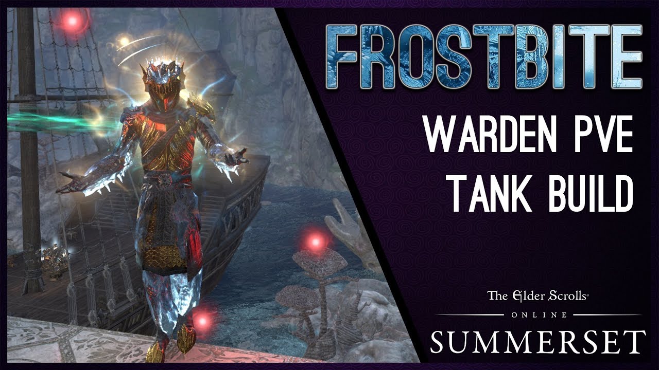 Warden Tank Build PvE 