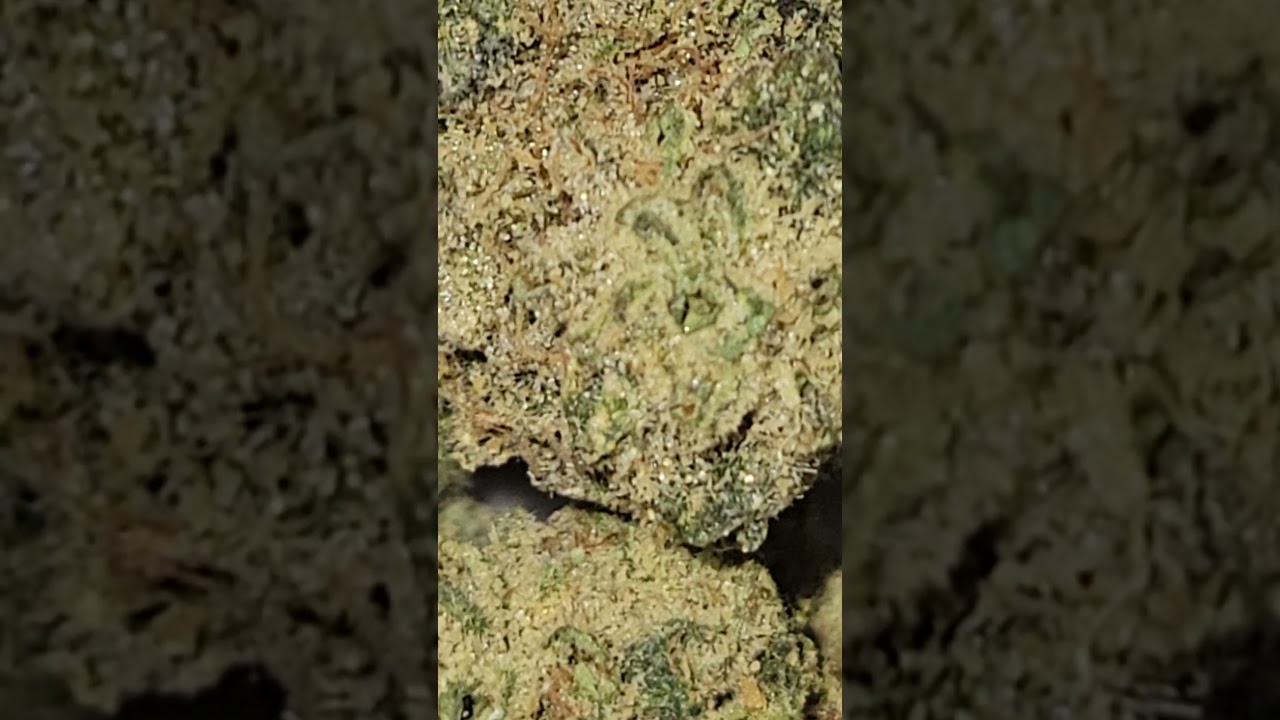 Do Si' De Leche by Ember Valley