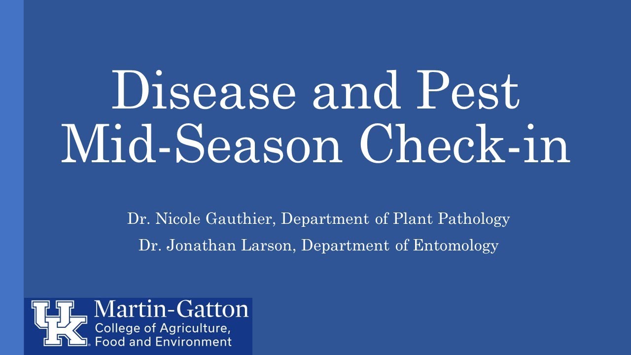 Disease and Pest Mid-Season Check-in