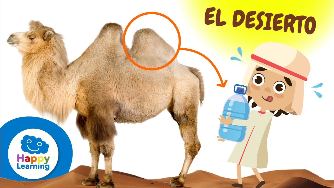 CURIOSIDADES SOBRE LOS DESIERTOS | Happy Learning 🏜️ 🐪