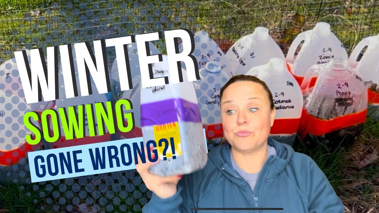 Winter Sowing Fail?! Moldy Seeds, Tape Test & My Watering Fix | The Southern Daisy