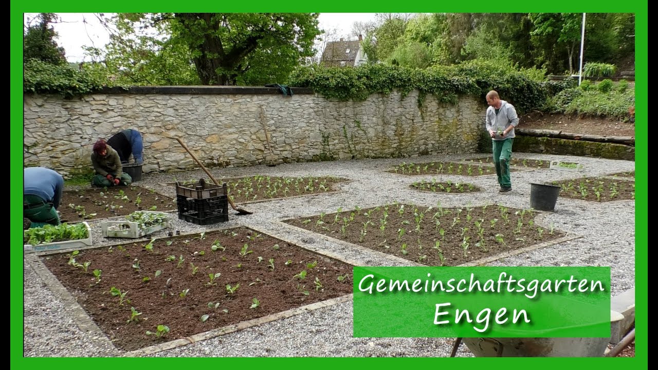 Gemeinschaftsgarten Engen
