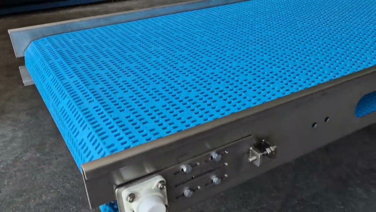 Food-grade modular belt conveyor for fish