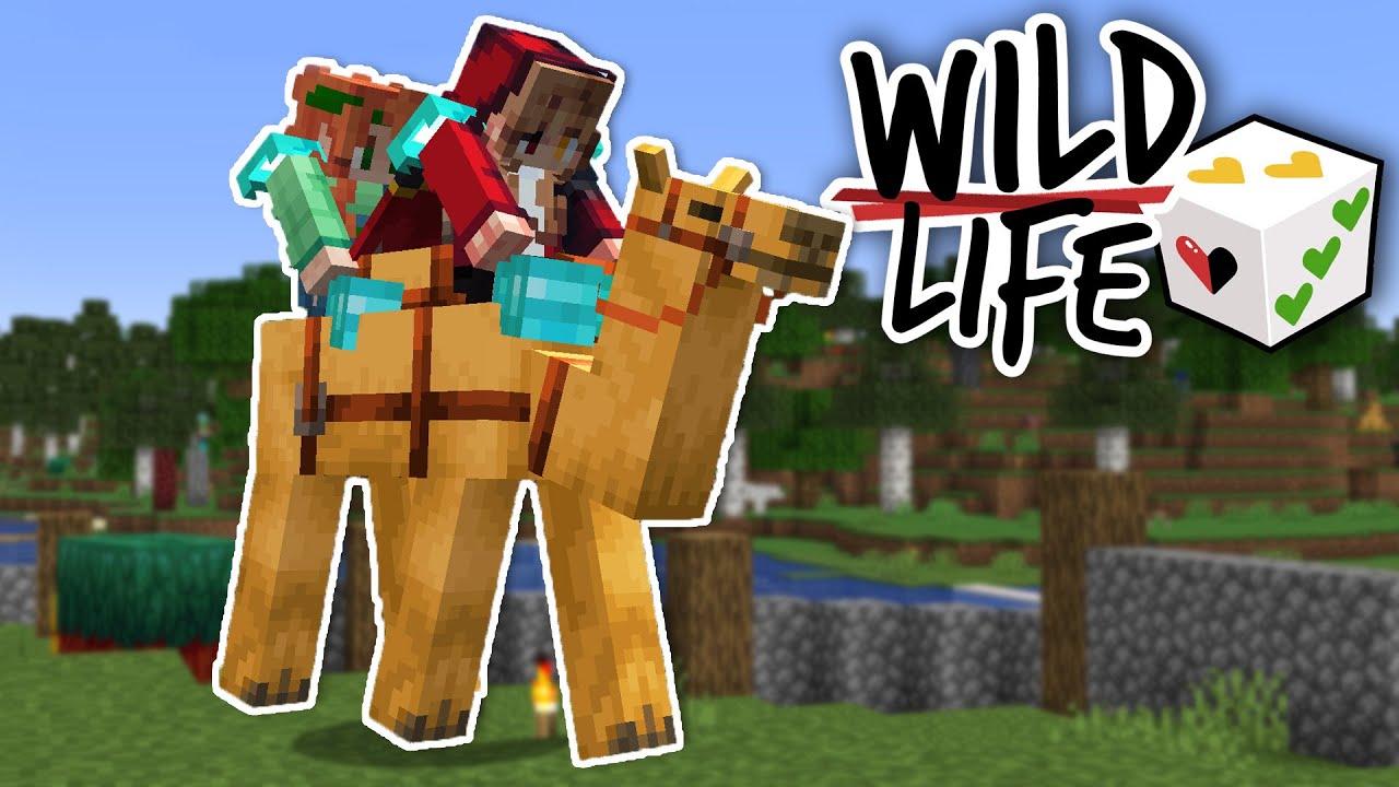 Loss | Wild Life: Episode 6