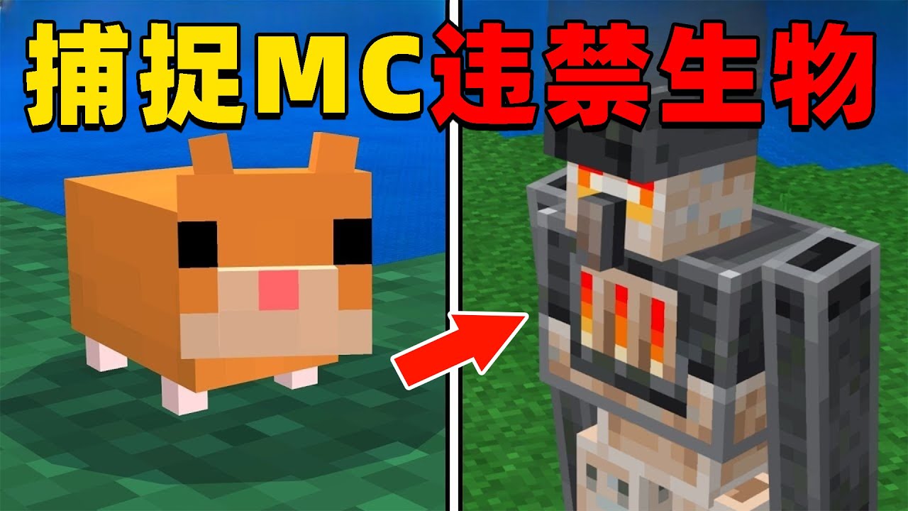 我的世界：肝帝挑战捕捉MC中所有的违禁生物，他能挑战成功吗？