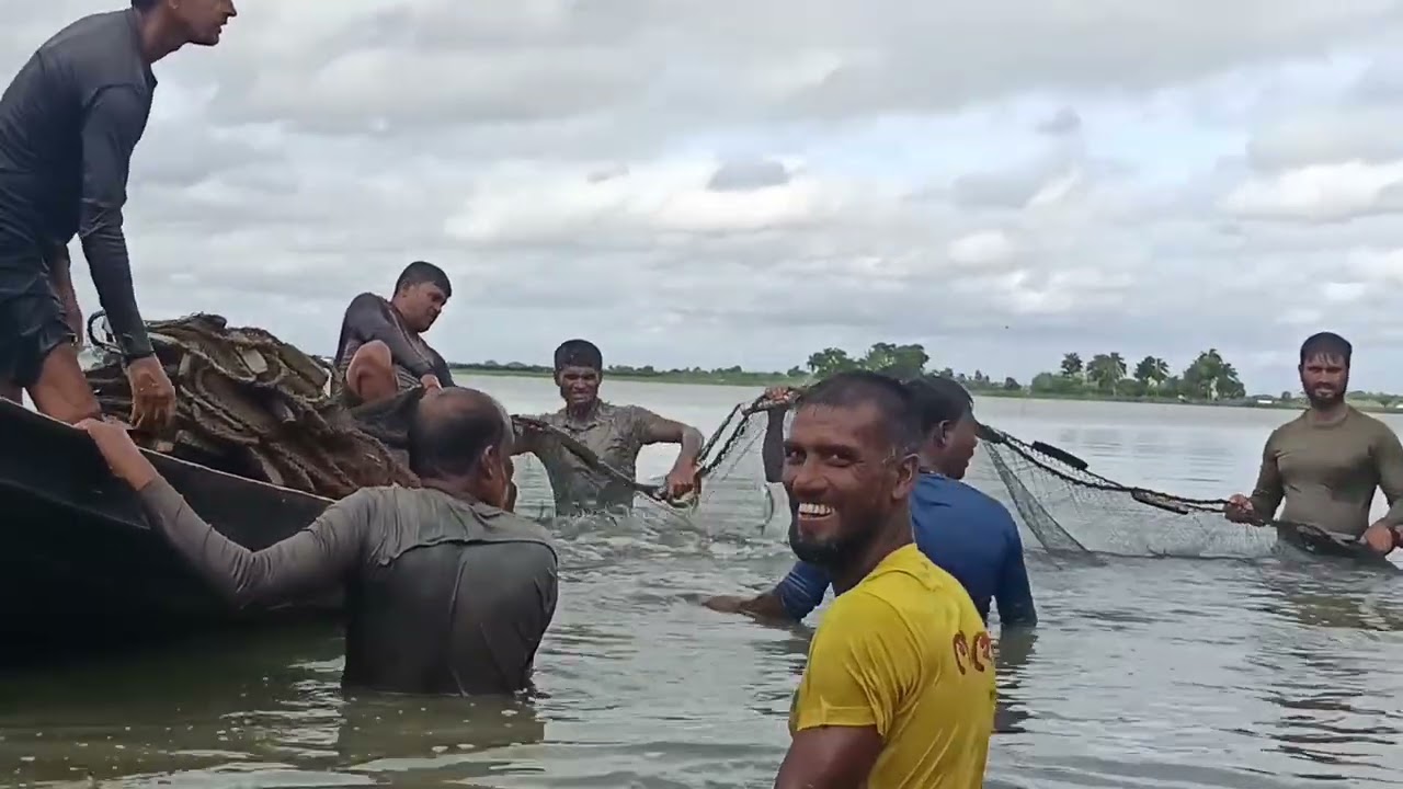 গ্রামের জালে লোকজনের মাছ ধরার কৌশল-Village people's fishing techniques in nets