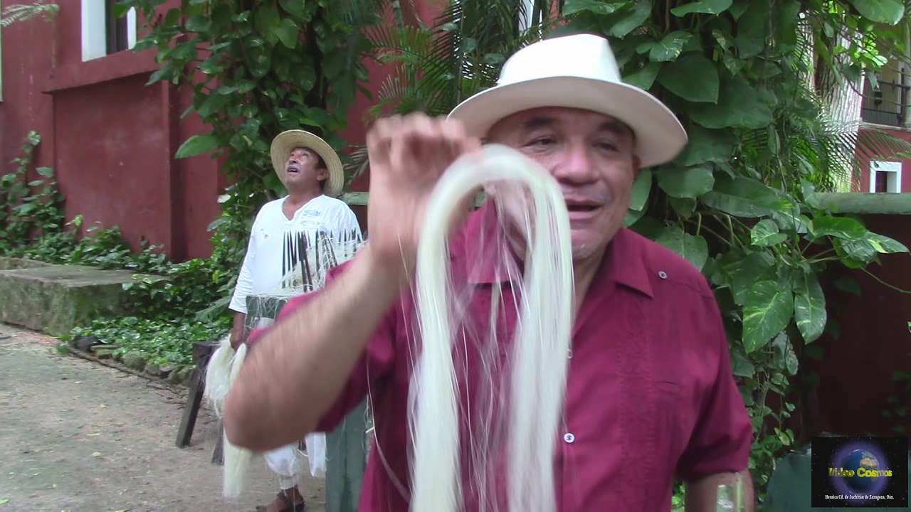 Un paseo por la Hacienda Sotuta de Peón