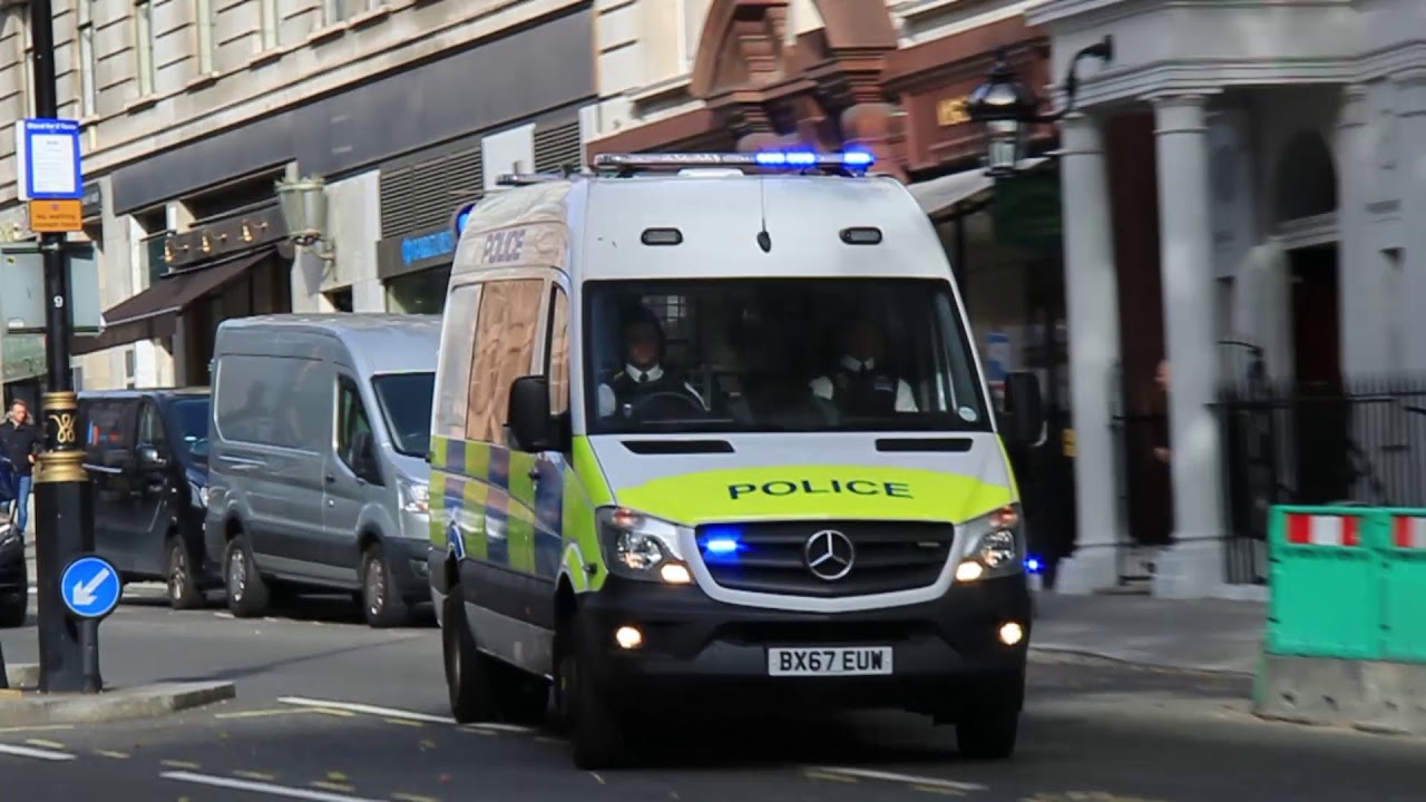 Various Public Order Vans responding in London