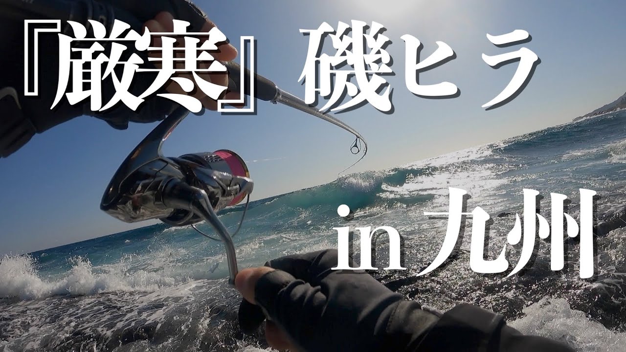 【磯ヒラ】初冬の北部九州の地磯でヒラスズキ狙ってきた【ロックショア】