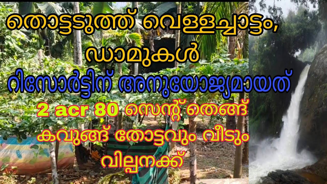 നല്ല സീനറിയിൽ റിസോർട്ടിന് അനുയോജ്യമായ 2 acr 80 സെന്റ് തെങ്ങ് കവുങ്ങ്  തോട്ടവും വീടും വില്പനക്ക്‌
