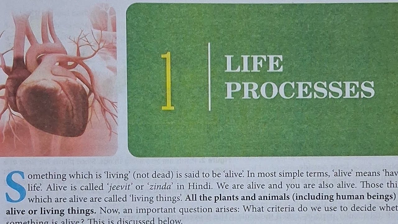 Life Processes class 10th complete revision in one shot