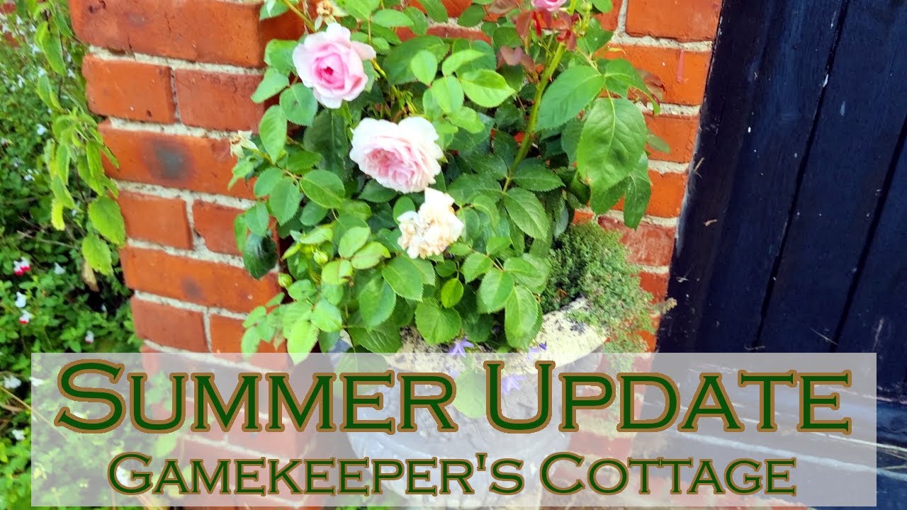 June Update - Garden Progress & Path Building | Summer Heat at Gamekeeper’s Cottage