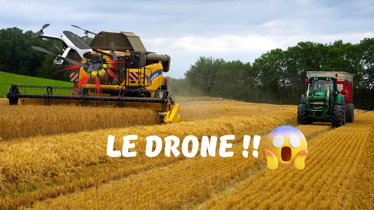 ON VA PERDRE LE DRONE DANS LA BATTEUSE  !! (moisson d'orge 2023)