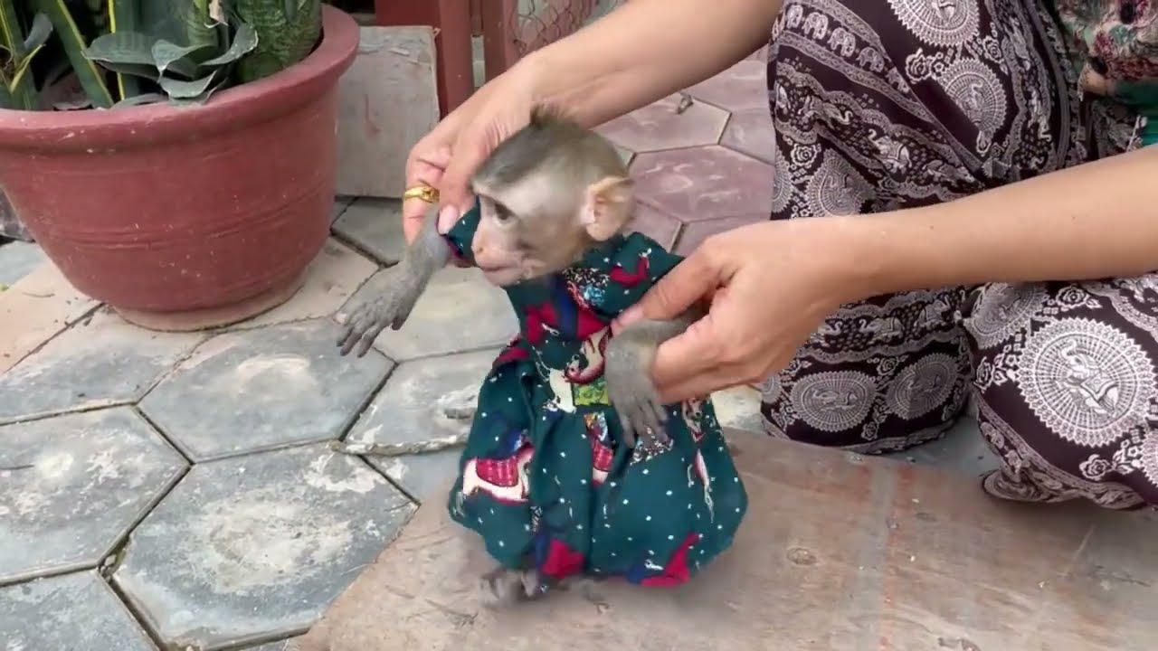 Grandma hrd to training Small koy learning to walk outside