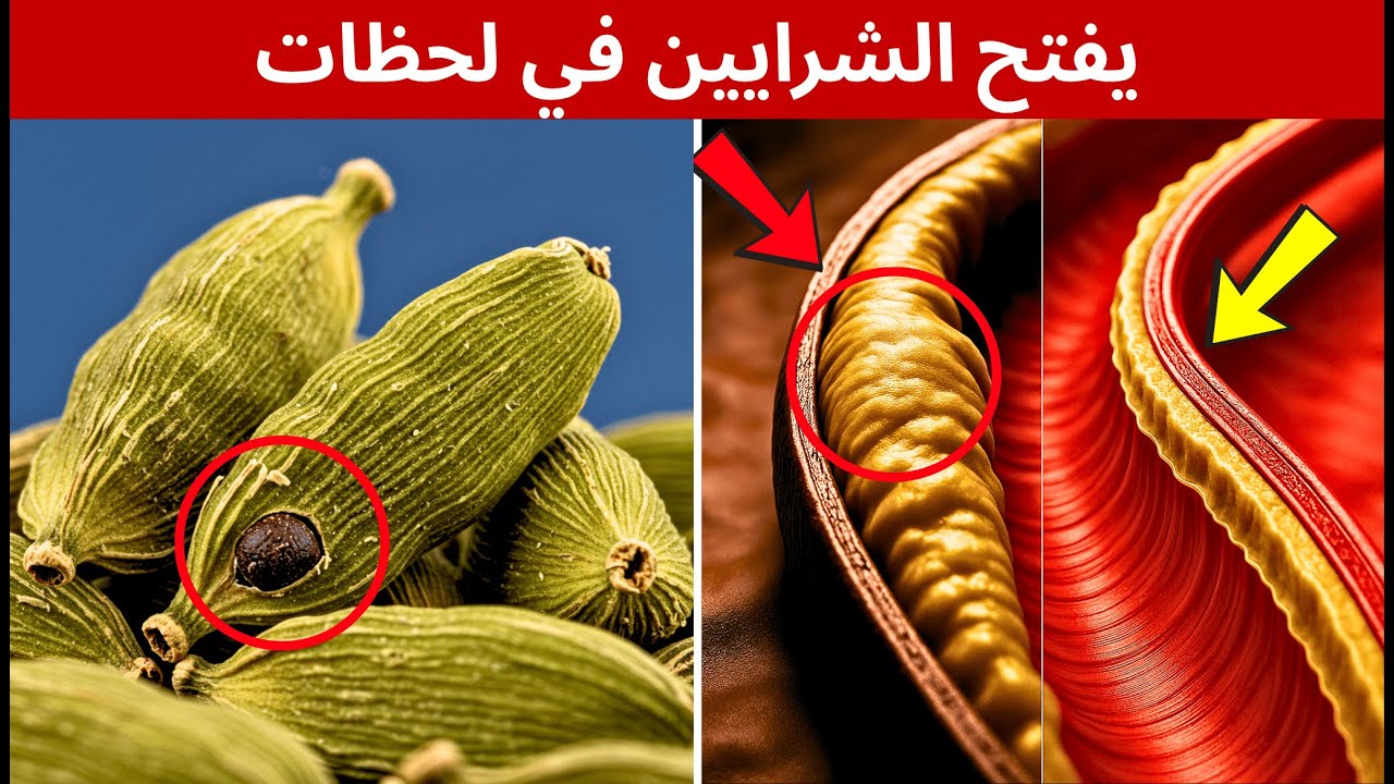 سر الأجداد: بهار واحد يوسع شرايينك فوراً
