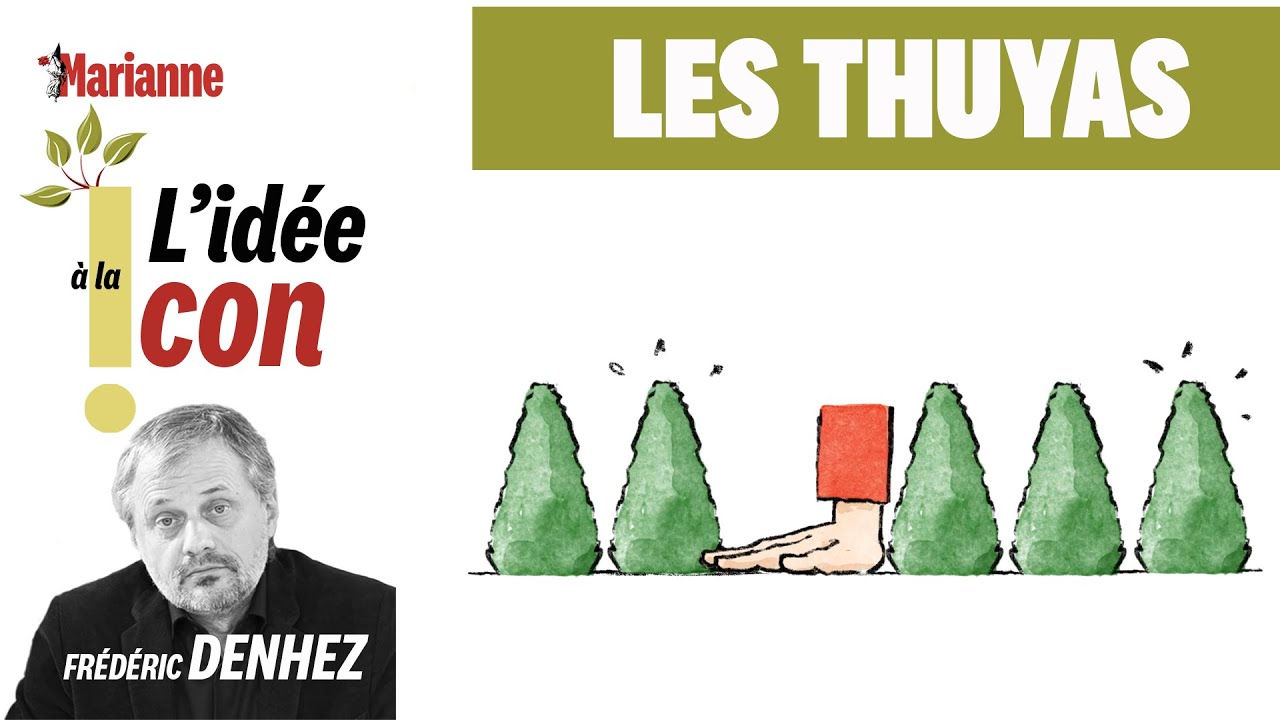 L'idée à la con : les thuyas