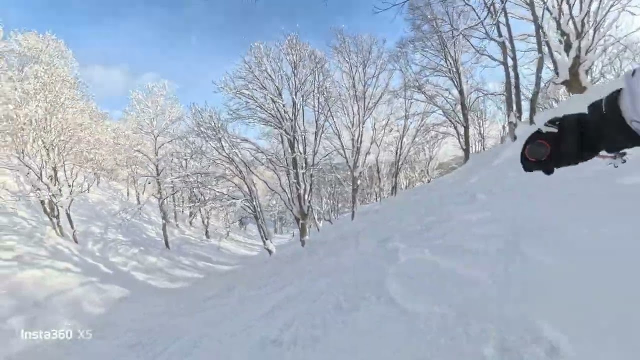 2026/01/31 madarao 3