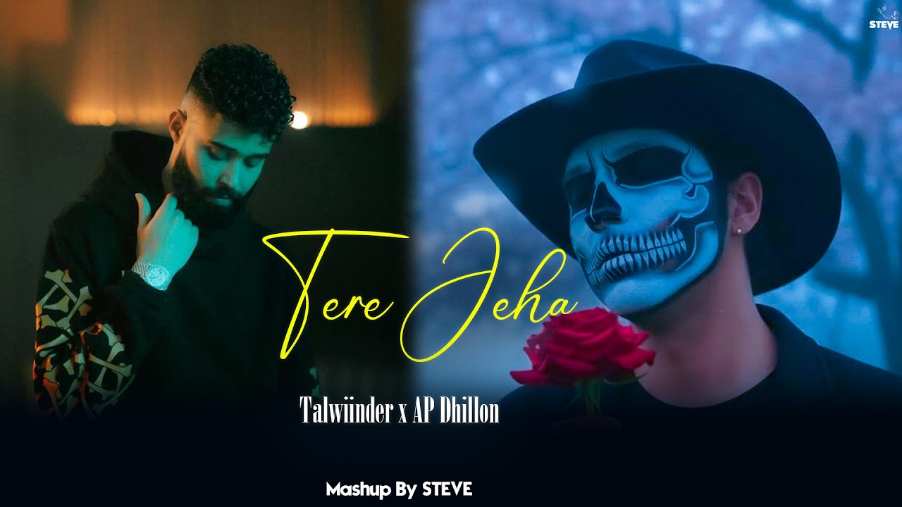Tere Jeha - Talwiinder X Ap Dhillon Mashup | Haseen X All Night X Dard Hau | STEVE Mashup 2025