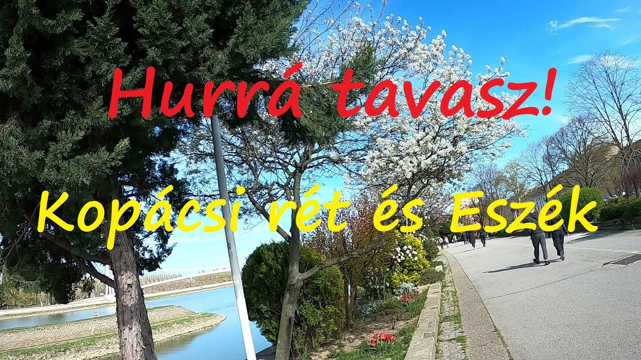 Hurrá tavasz! A Kopácsi rét és Eszék (Osijek) Horvátország