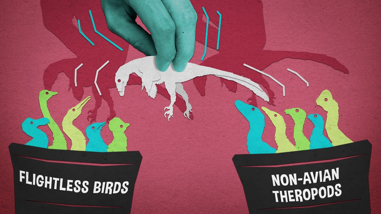 Evolutions of Dinosaur Flight - The Many Ways to Almost Make a Bird