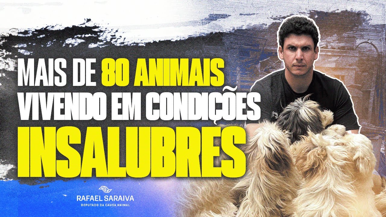 🚨 RESGATAMOS 80 ANIMAIS IMPLORANDO POR AJUDA! 🚨
