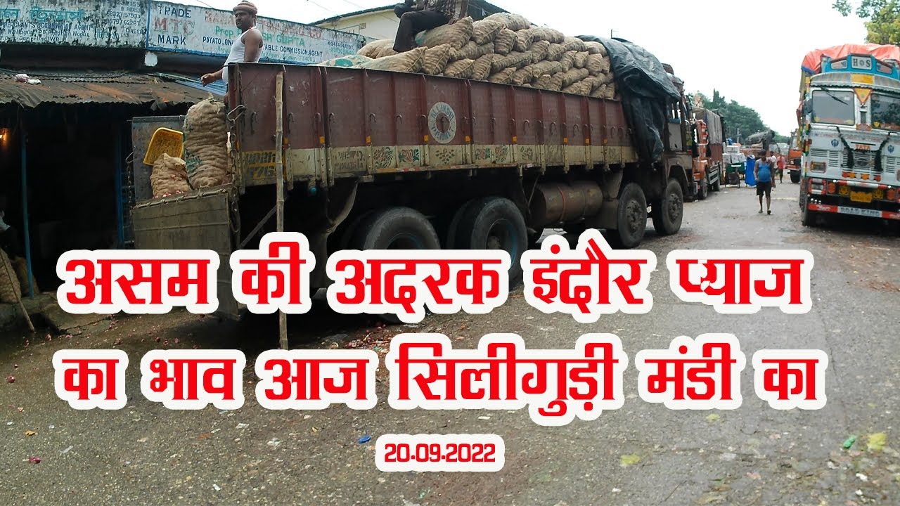 असम की अदरक इंदौर प्याज का भाव आज सिलीगुड़ी मंडी का