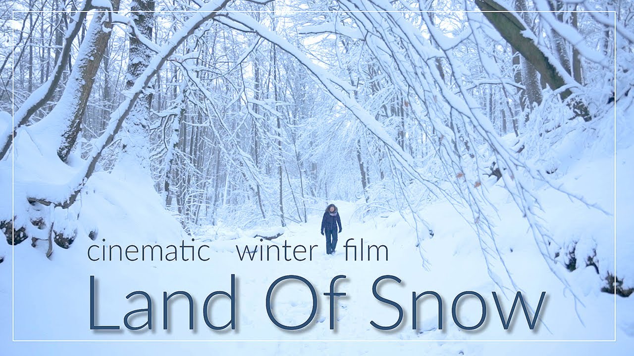 Land Of Snow | Winter in Berg en Dal The Netherlands