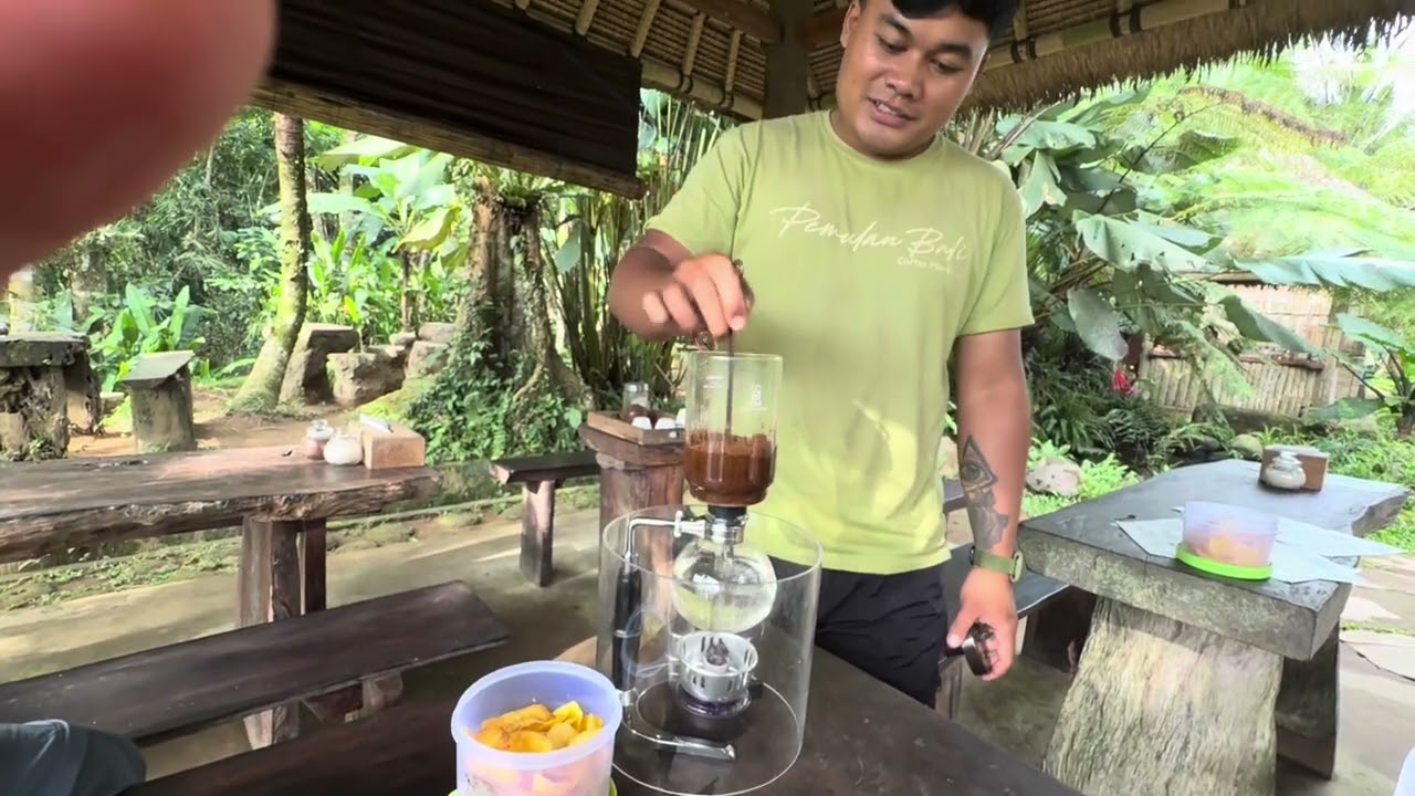 Luwak Coffee Cafe Famoso y Caro de Caca en Bali