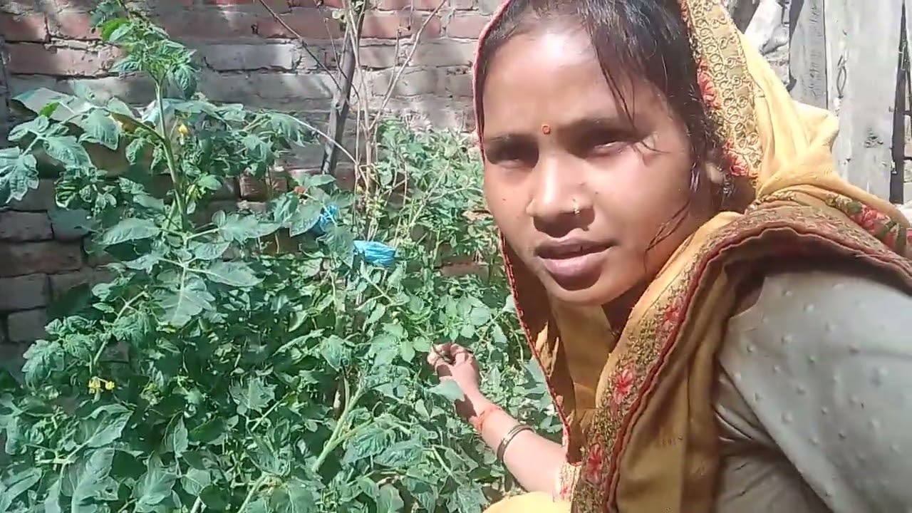 👍🏽👍🏽👍🏽👍🏽👍🏽🎁🎁🎁 यूट्यूब फैमिली कर दे राधे राधे प्लीज भाई यूट्यूब ली जो हैं सब देखें वी भीसपोर्ट करें